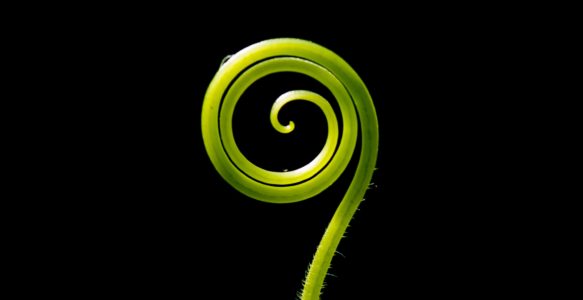Cercles de parole