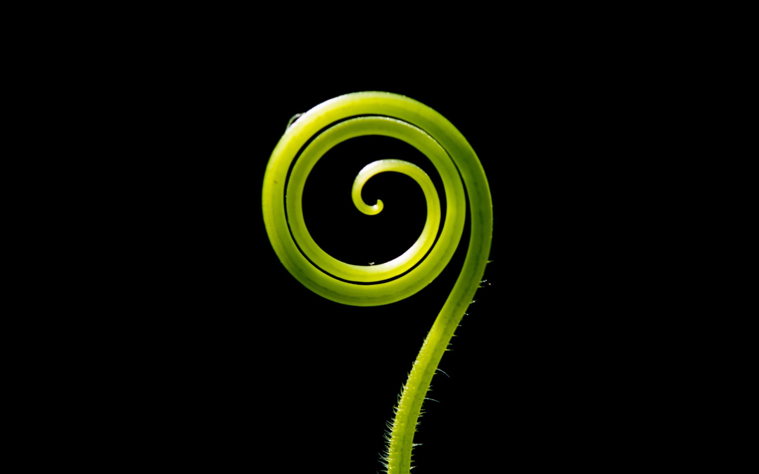 Cercles de parole
